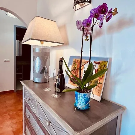Oceanview Carvoeiro Terrace Apartment *